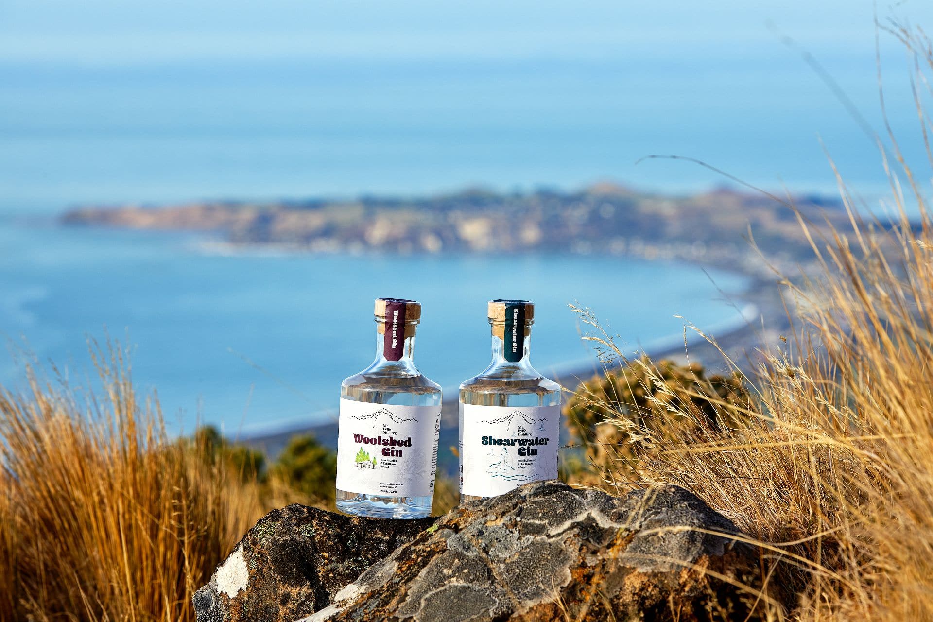 The Press article, 6.7.2021